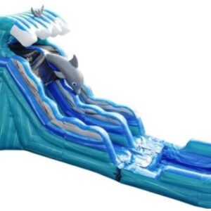 Dolphin 15' Water Slide