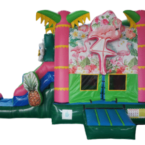 Fantastic Flamingo Waterslide