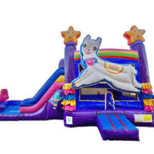 Desert Fiesta Combo Waterslide