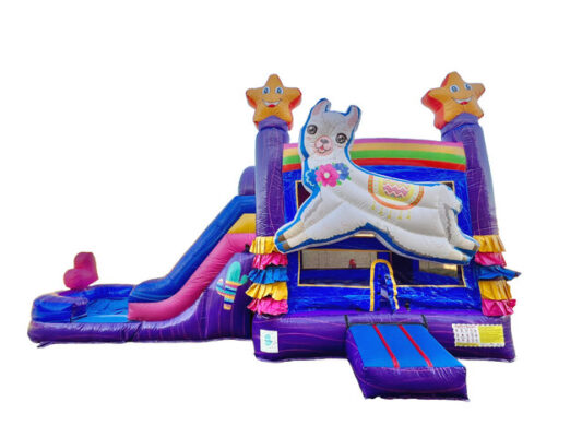 Desert Fiesta Combo Waterslide