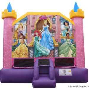 Disney Princess Castle